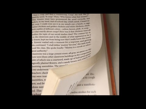 Lunch Break ASMR II (Library Edition)