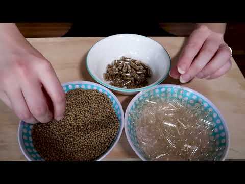 Whispered Mellow ASMR Task ~ How To Make Root Tabs for House & Aquarium Plants