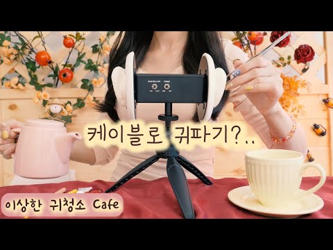 ASMR 이색도구 귀청소 체험카페 (케이블로 귀파기, 싸인펜, 나무집게, 귀걸이, 꽃잎 등) | 10가지 팅글 | Ears cleaning Cafe