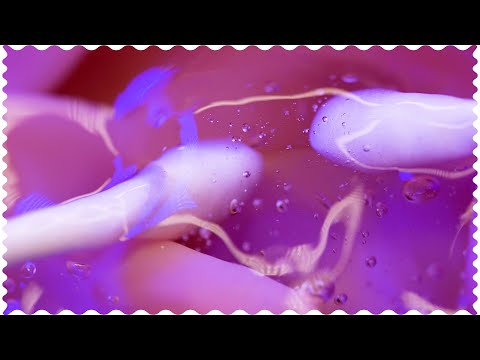 【ASMR】あふれ出る！ローション🍼で鼓膜水没式耳かき（両耳同時, NO TALKING）