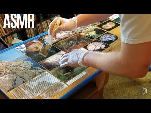 finishing my desk with polyurethane | ASMR [painting, soft-spoken, Bob Ross Jr]