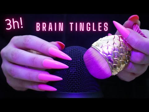 Asmr Intense Mic Brushing,Scratching & Stroking | Asmr No Talking for Sleep - Long Nails | 3 Hours