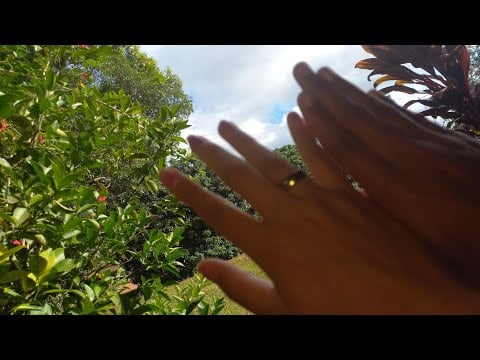 asmr caseiro ao ar livre /asmr na natureza(asmr Brasil-asmr br-asmr português brasileiro)