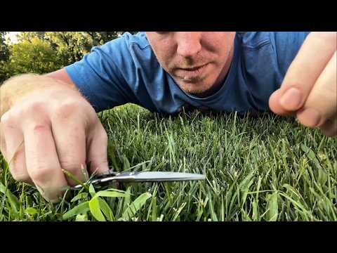 ASMR | If She Beats Me She Gets My Silver Play Button