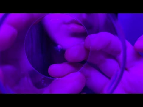 [ASMR - No Talking] Cupped mouth sounds 😴