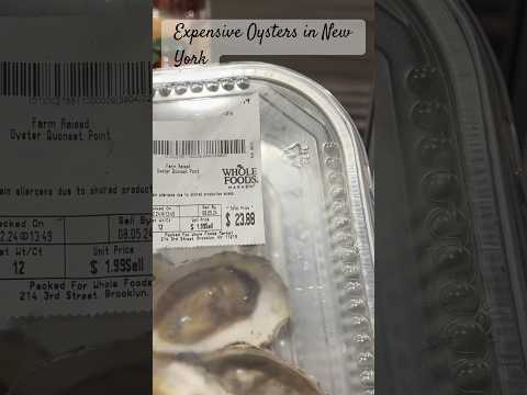 Expensive Oysters in New York