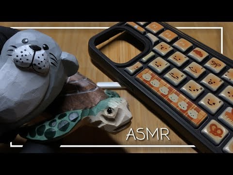ASMR with my new Lofi Triggers! 🐢🧏🏻 (No Talking)