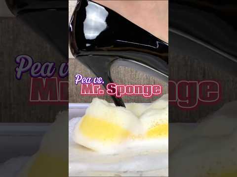 Pea vs. Mr. Sponge! High Heels Crushing Things! Oddly Satisfying! ASMR