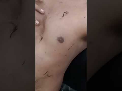 #bellyhair #massagetherapy #bodyshaving #asmrsounds #soothingasmr #relaxingmassage #headmassage
