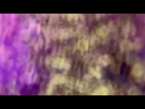 asmr express experimental y random 🐠 (visual?)