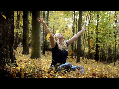 Nature ASMR | Golden path, Barefoot autumn forest trip | PART 2