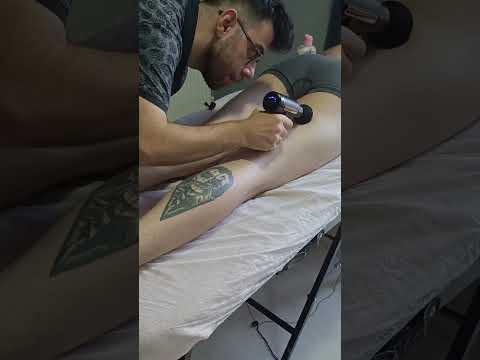 POST-SPORTS MASSAGE THERAPY FOR HIND LEGS #satisfying #relaxing #asmr #shorts #massage