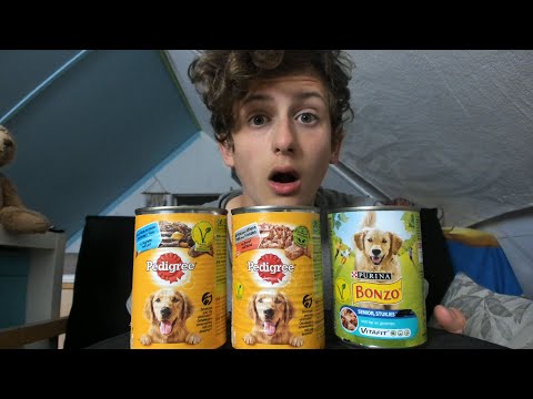 ASMR TASTING DOGFOOD😱...| LOVELY ASMR S