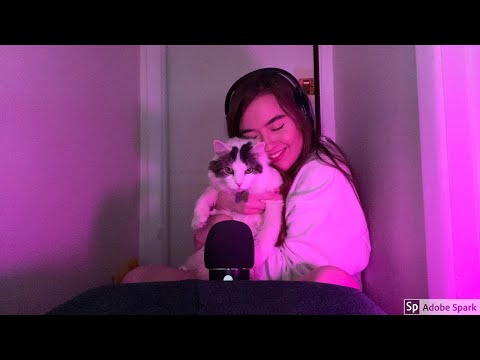 ASMR Slow Triggers for Sleep (ft. a cat)