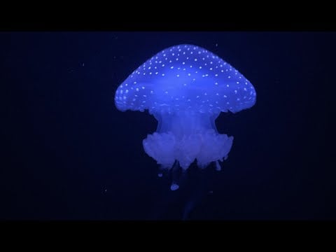 asmr rambles on vacay (camera touching, nail triggers) 𓂃 ོ☼