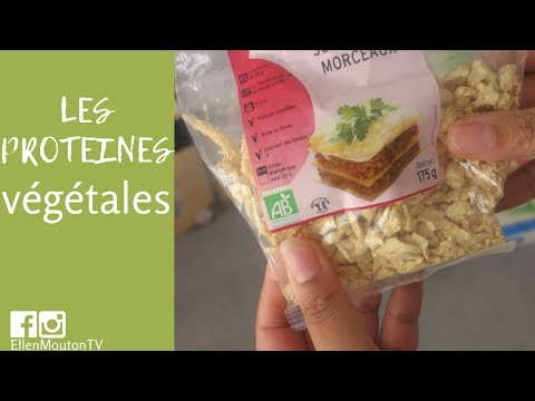 Les protéines végétales, où les trouve-t-on? VLOG non Asmr