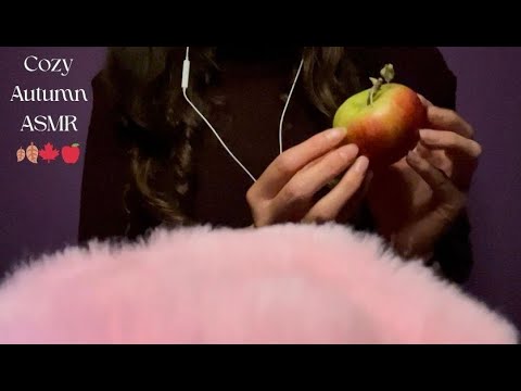 My Attempt At Cozy Autumn ASMR (gentle tapping, mic blowing, and whispering)