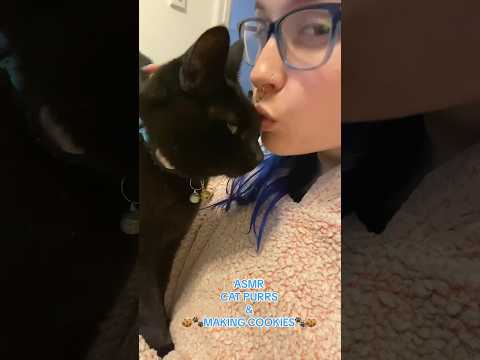 VOLUME UP FOR OLLY ASMR 🐈‍⬛ #asmrcats #catpurring #asmr #shorts