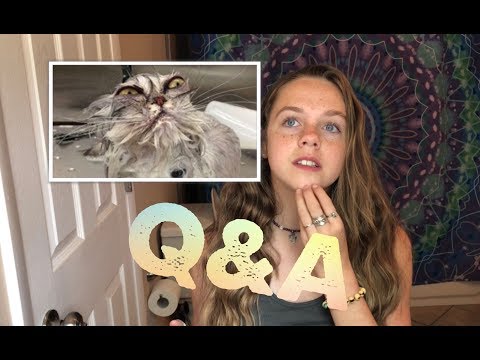 My first Q & A