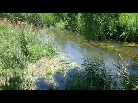 Midday Escapade - Riverside vlogging