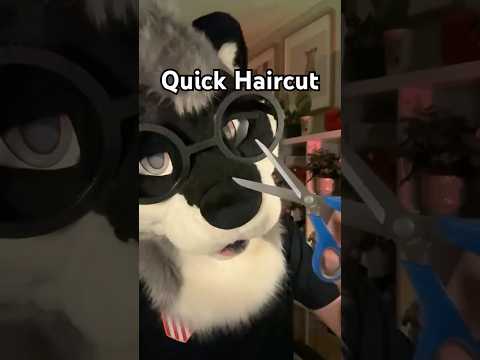 giving you a quick haircut #asmr #furry #asmrroleplay