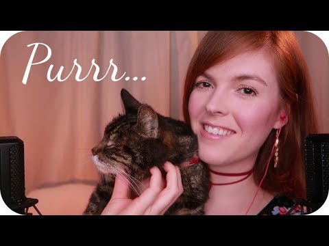 Short Kitty ASMR ~ Purring + Whisper ^_^