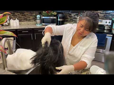 Relaxing SCALP CHECK SCALP & HAIR TREATMENT | Hair Salon | ASMR | Hair Shampoo Hair Wash Sound |