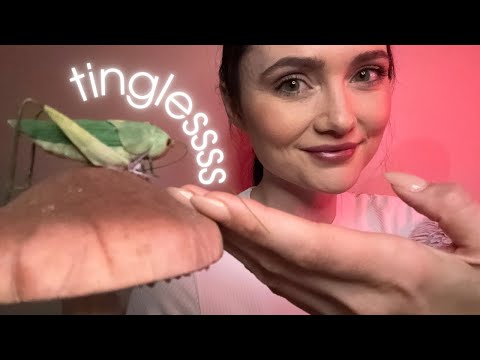 ASMR - at exactly 16:33 you will get tingles.