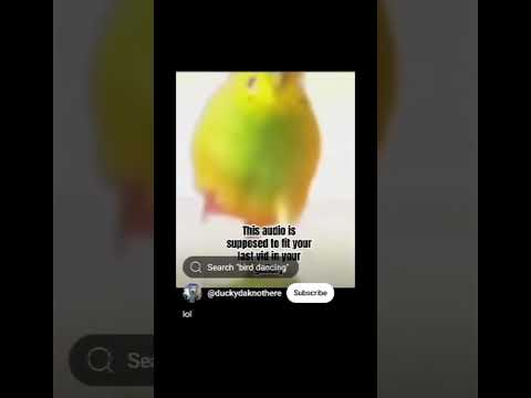 Bird Bomb Top Comment