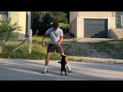 chill walk in 🇧🇦bosnia (i found a new friend)
