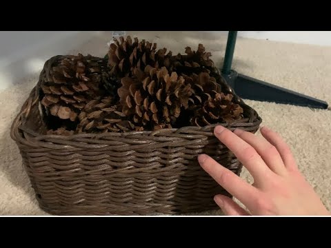 ASMR Tapping Around My Living Room