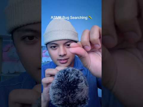 Bug Searching 🔎 #asmr #bugs  #sleep