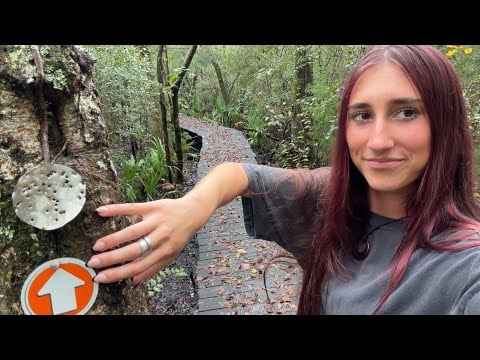 lofi ASMR on a hike in the rain