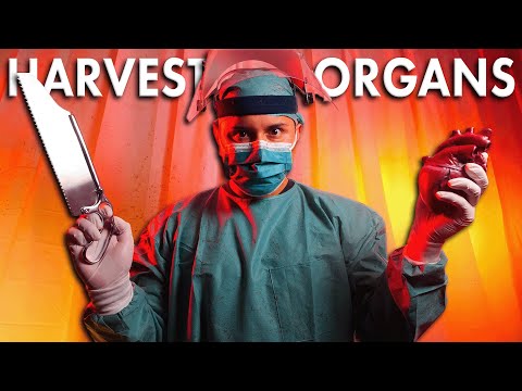 ASMR | Black Market Doctor Organ Harvesting | Halloween Roleplay