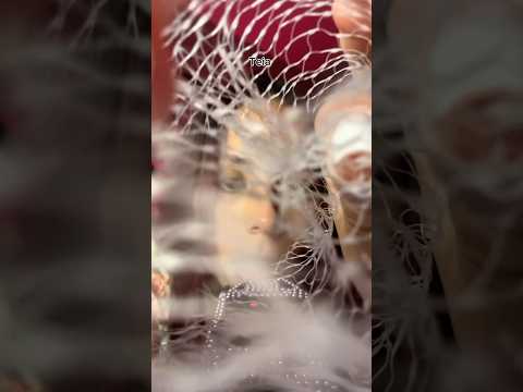TRIGGER TEIA 🕸️