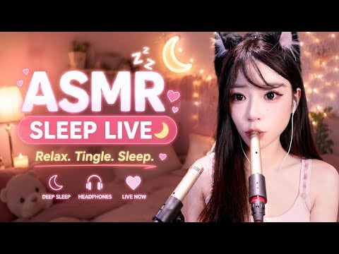 【LIVEアーカイブ】😴 No Talking Tingle 🤫 音だけに没頭して深く眠るための夜 #ASMR #音フェチ #安眠 2026-06-15 22:33:36