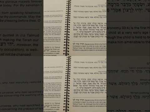 going through a weekday siddur #books #reading #jewish #asmr #softspoken