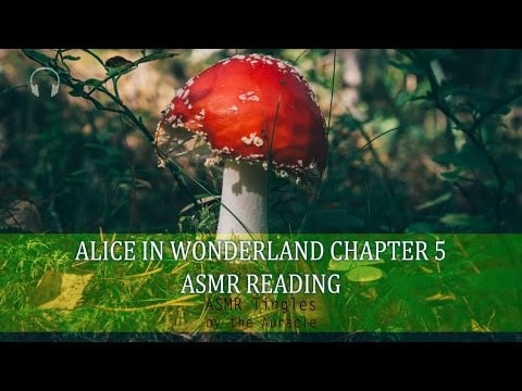 Alice in Wonderland chp 5 ★ [ASMR] Reading ★ [Binaural] [Softly spoken]