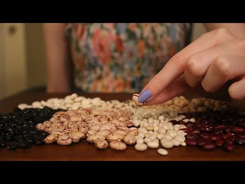 ASMR Bean Counting & Sorting (Whispered) 1HR