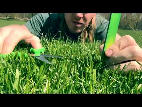ASMR Mother Nature Spa Treatment (massage, haircut, outside, sleep)