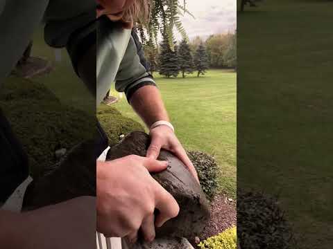 ASMR Giving Trees and Rocks a massage #asmr