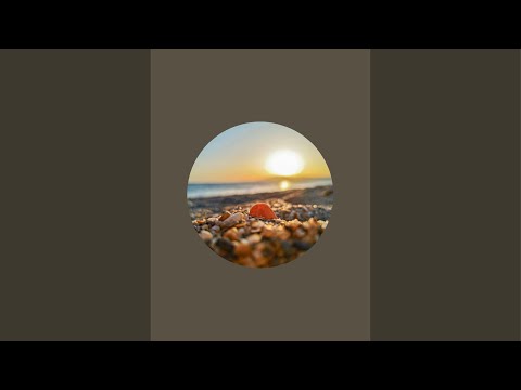 ¡asmrrat está emitiendo en directo!