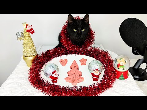 2023 ASMR Mukbang | Cat Eating Food