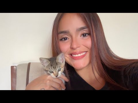ASMR con mi gatita 🐱❤️