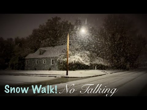 ASMR Walk in the snow! Deer, Christmas lights & moody skies! (No talking only)