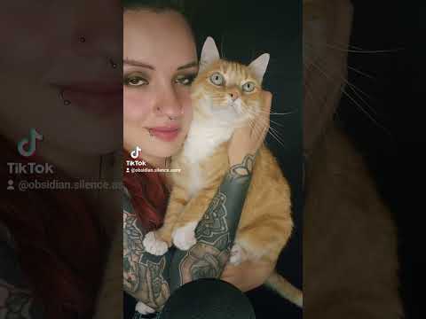 Katzenasmr #shorts