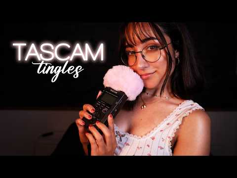 ASMR | TASCAM TINGLES 😍 Whispers & Mouth Sounds 💖 (1 hour w/ black screen)