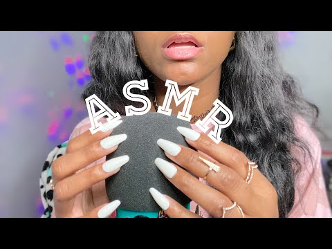 ASMR| TikTok Livestream Furry Cover, Bugs, Mic Brushing