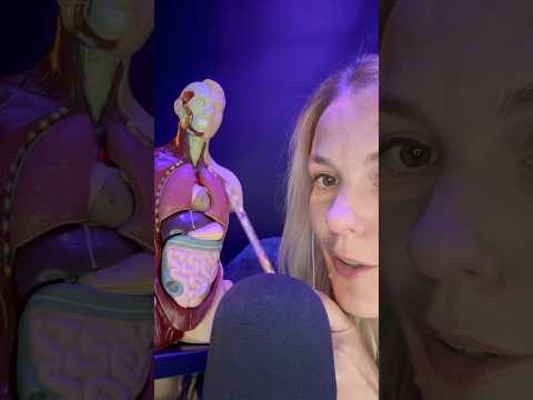 ASMR FR / Connais-tu bien le corps humain ? #asmrfr #asmrshorts #shortsasmr