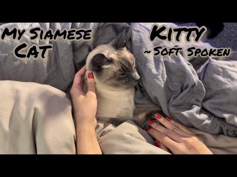 Kitty Purring For Relax and Sleep - ASMR Whispered (Soft Spoken)